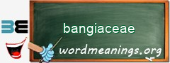 WordMeaning blackboard for bangiaceae